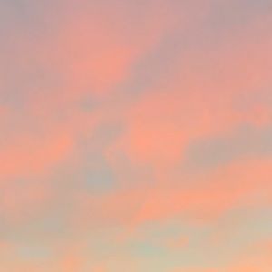 Meet your Posher, Isabel